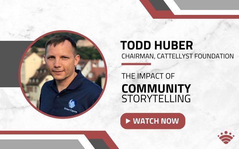 Catellyst Foundation Chairman